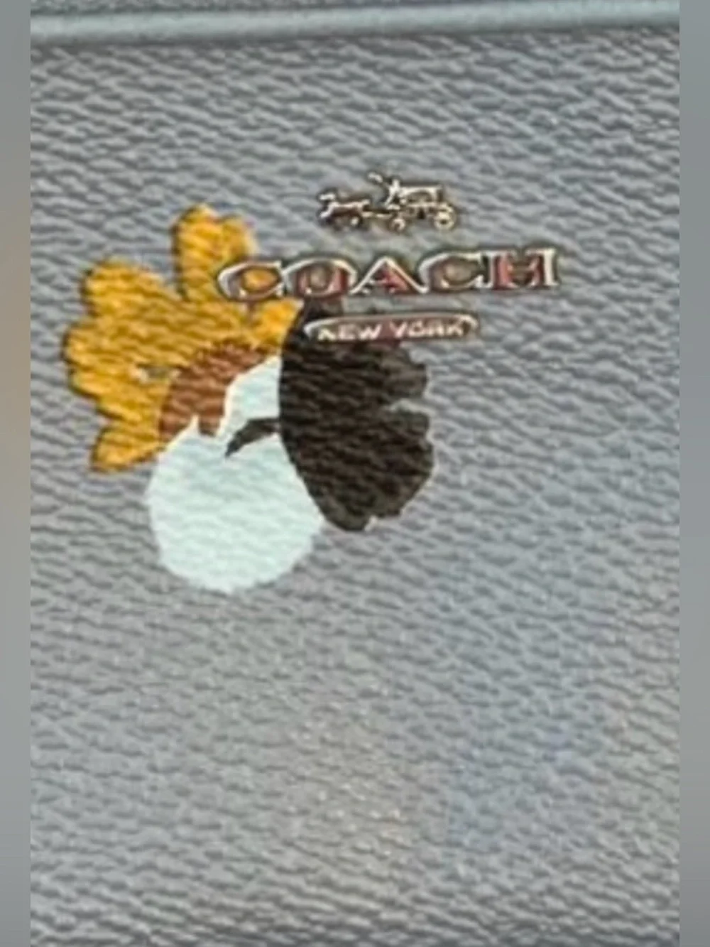 Coach Light Blue Floral Leather Crossbody Bag - Picture 4 of 9